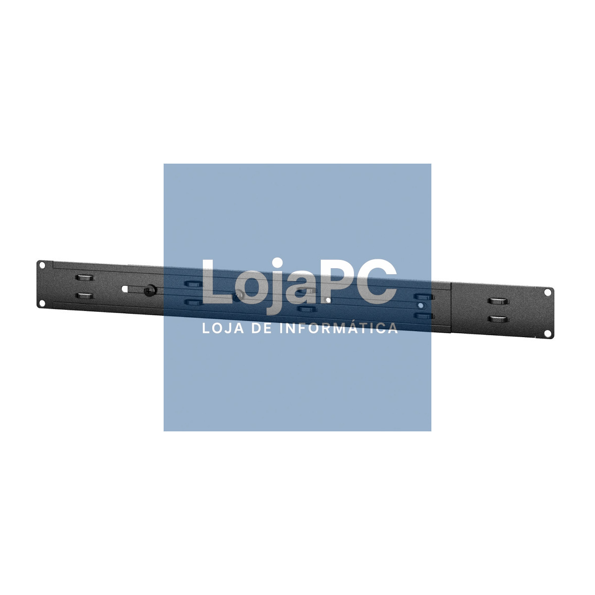 APC Easy Rack Cable Manager in Depth 1U