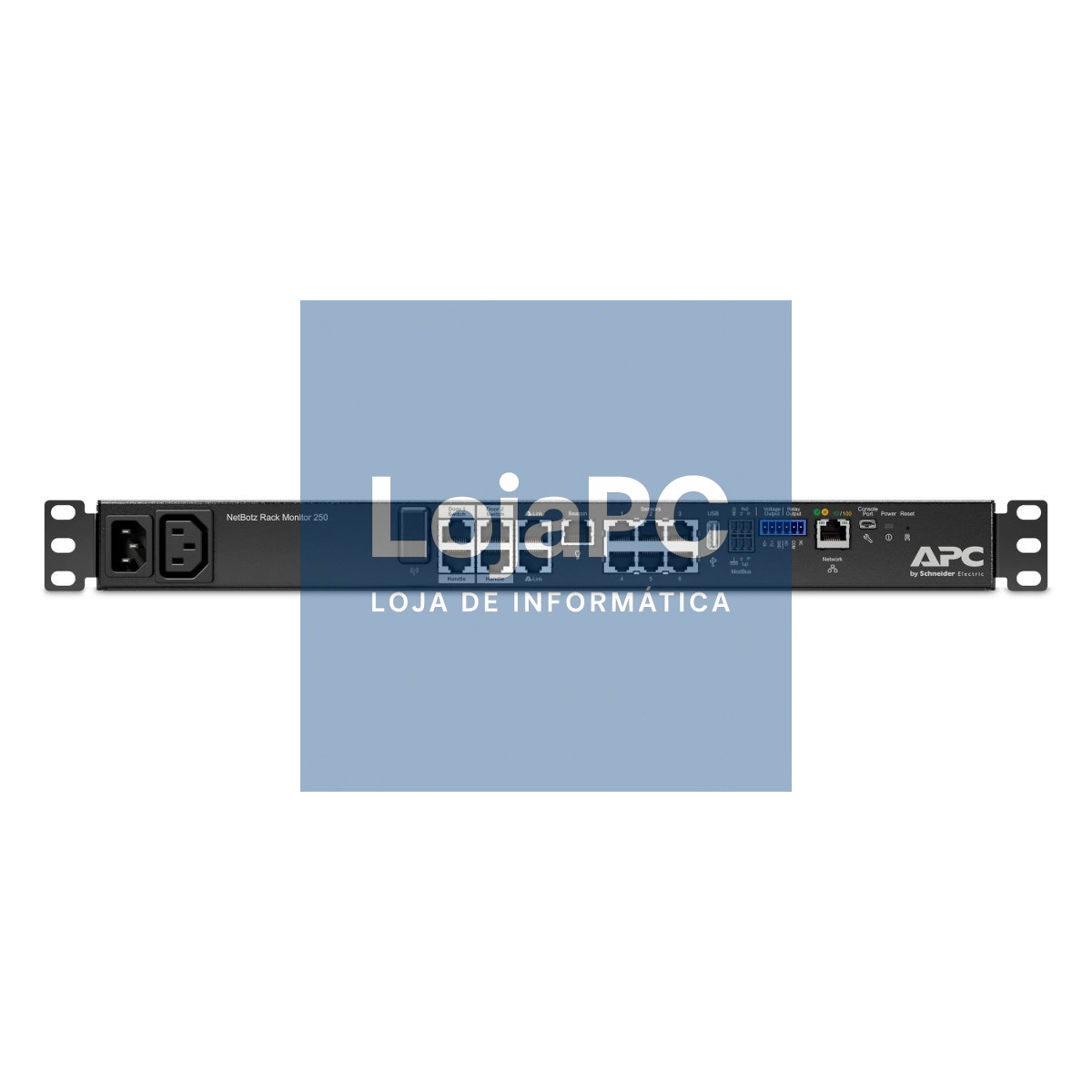 APC NetBotz Rack Monitor 250 Environment monitoring device 100Mb LAN rack-mountable TAA Compliant