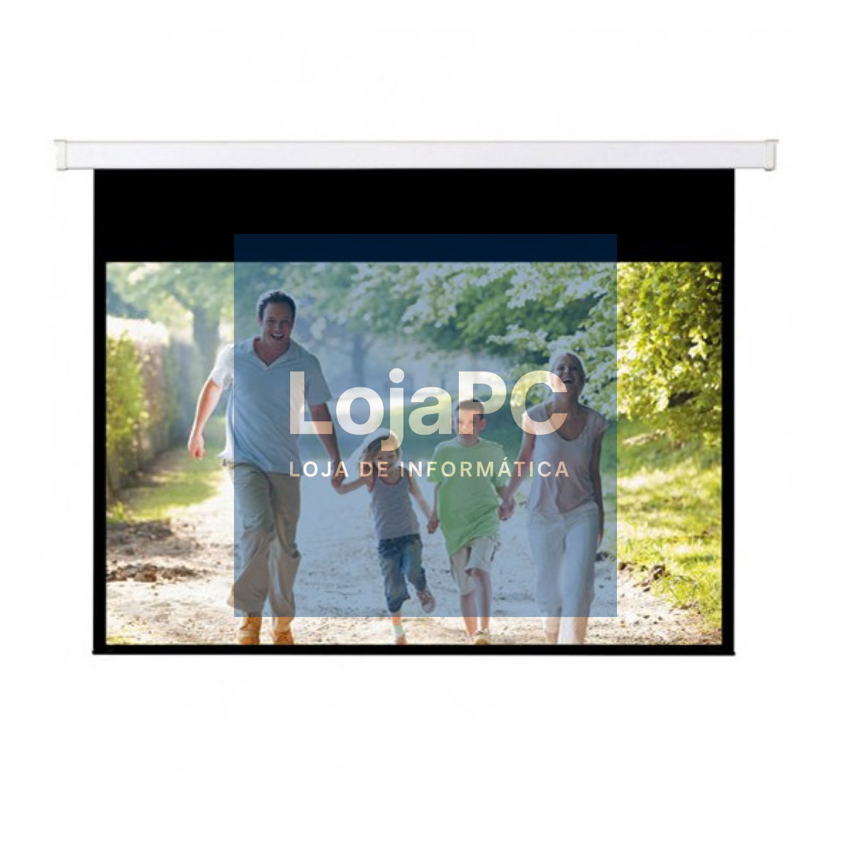 NAPOFIX SUSPENSION SCREEN 300X168 135 INCH WITH FRAME - S169-3080