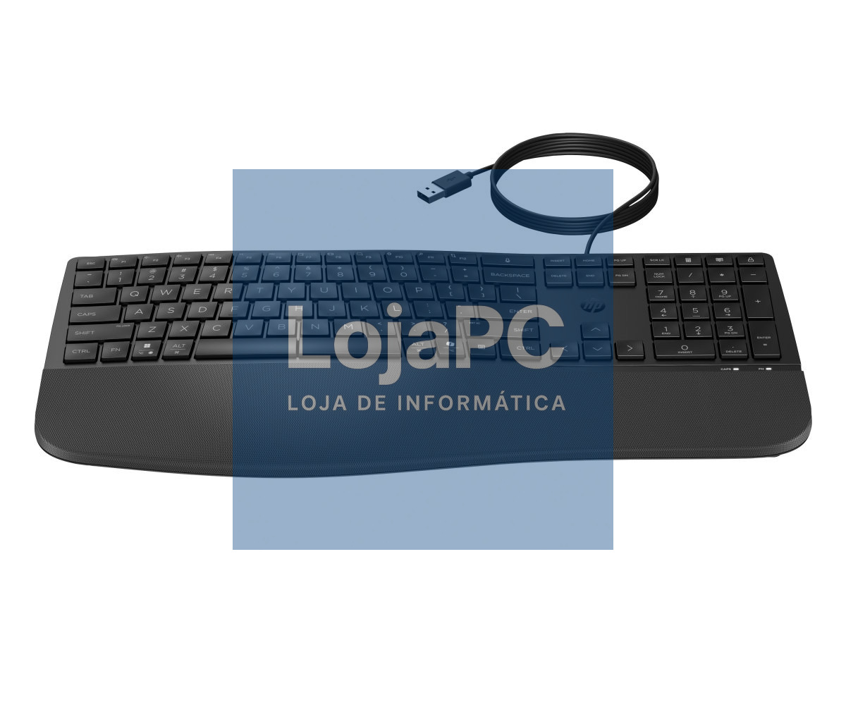 HP 485 WIRED KEYBOARD(P)