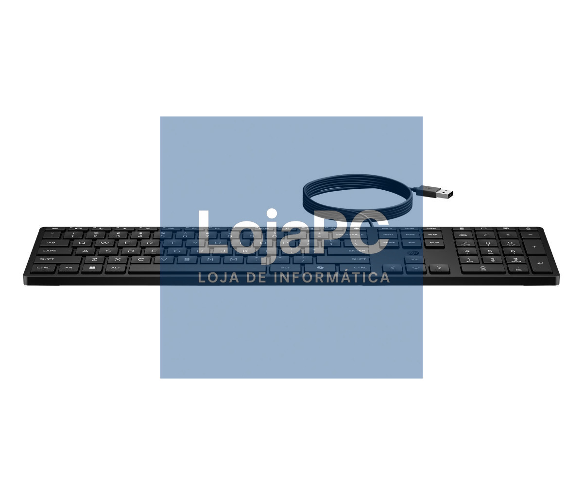 HP 320K WIRED KEYBOARD(P)