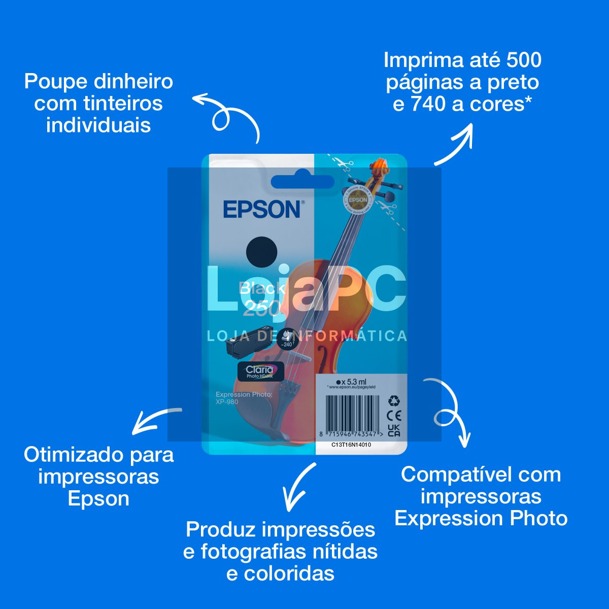 EPSON Singlepack Black 250 ink