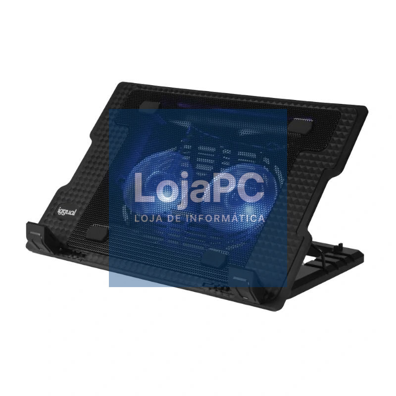 iggual Refrigerador portátil 2 ventiladors RP2V17A