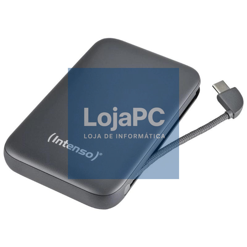 Intenso PowerBank S10000 10000 mAh Gris