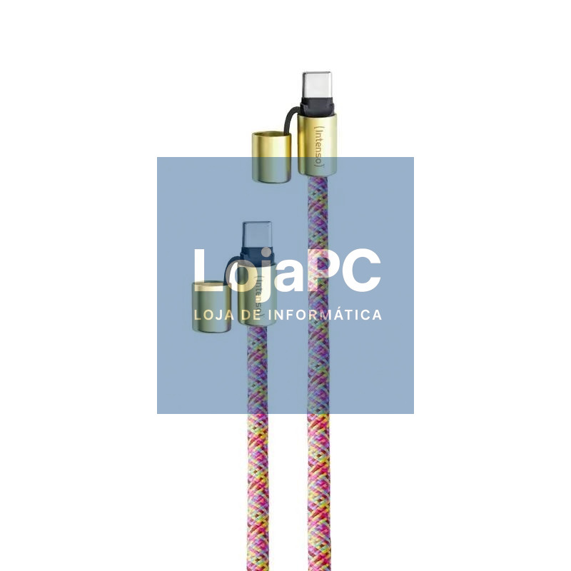 Intenso Lanyard Cable USB-C C 1,65 m Neon mix