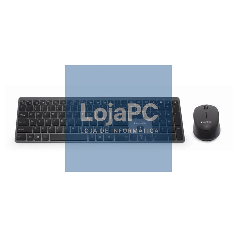 Gembird Kit Teclado+Ratón Inalámbr. Pro Slim Negro