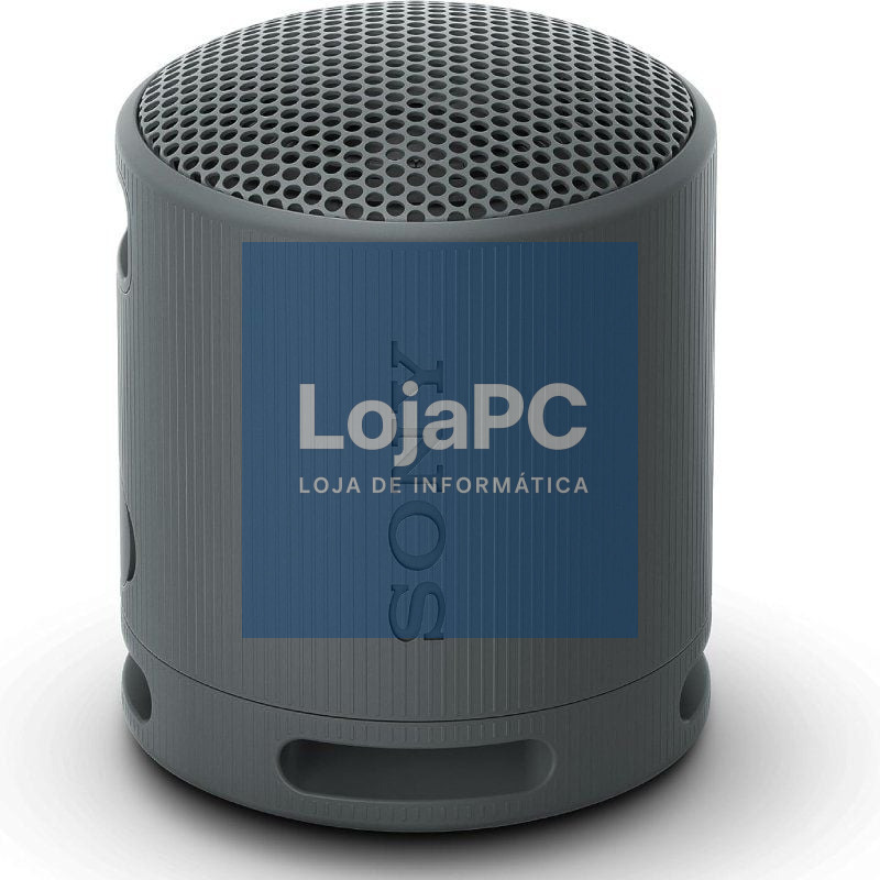 Coluna Portable com Bluetooth Sony XB100/ 2.0/ Preto