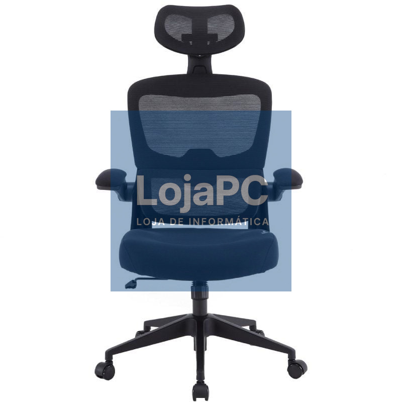 Cadeira Gaming Woxter Ergo/ Preto