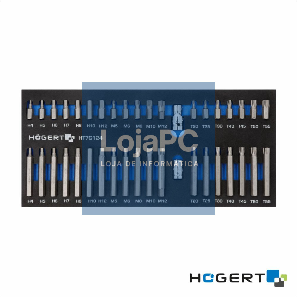 Conjunto de 40 Pontas em Inserção de Espuma HOGERT