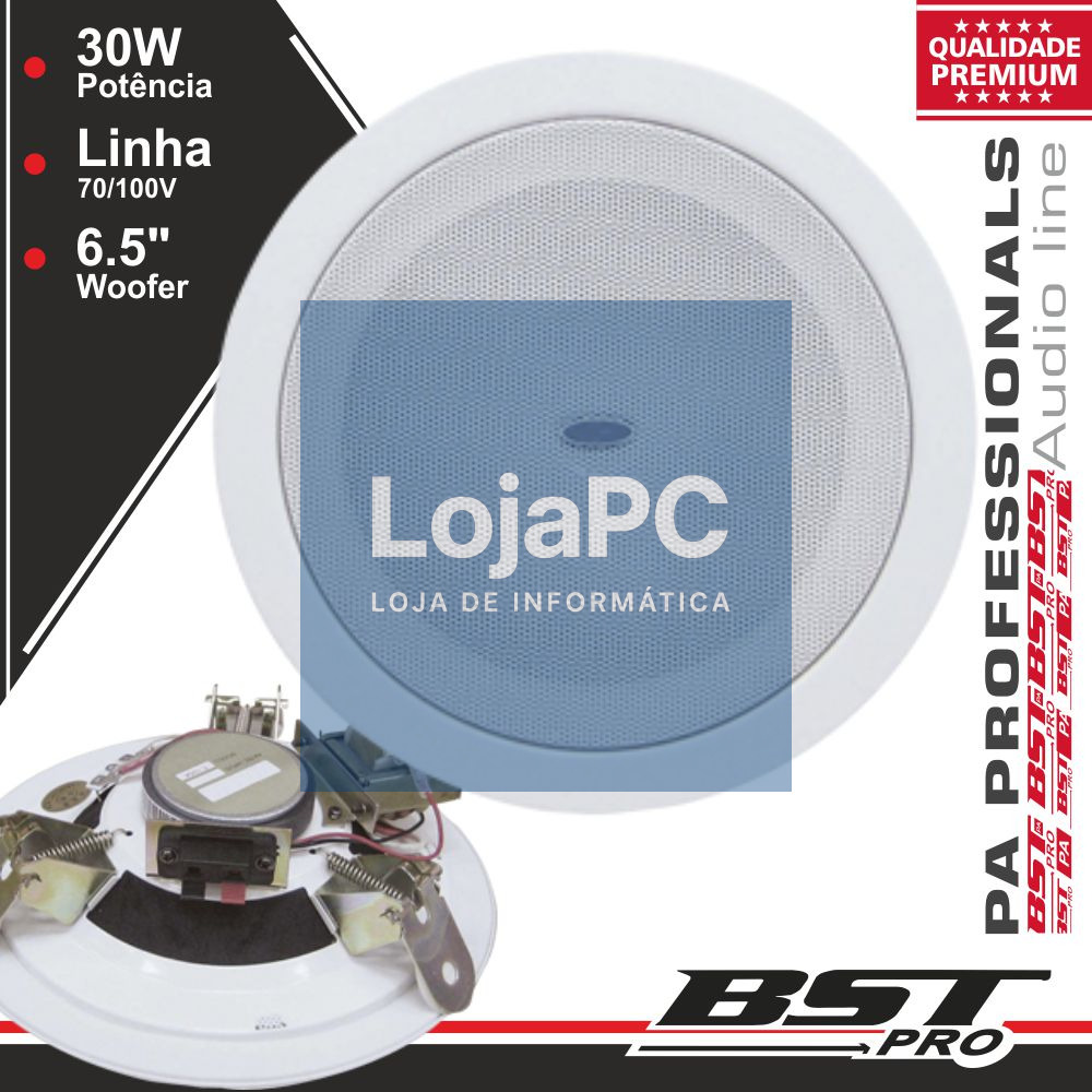 COLUNA DE TECTO PA 100V 6.5" 30Wmáx BRANCA