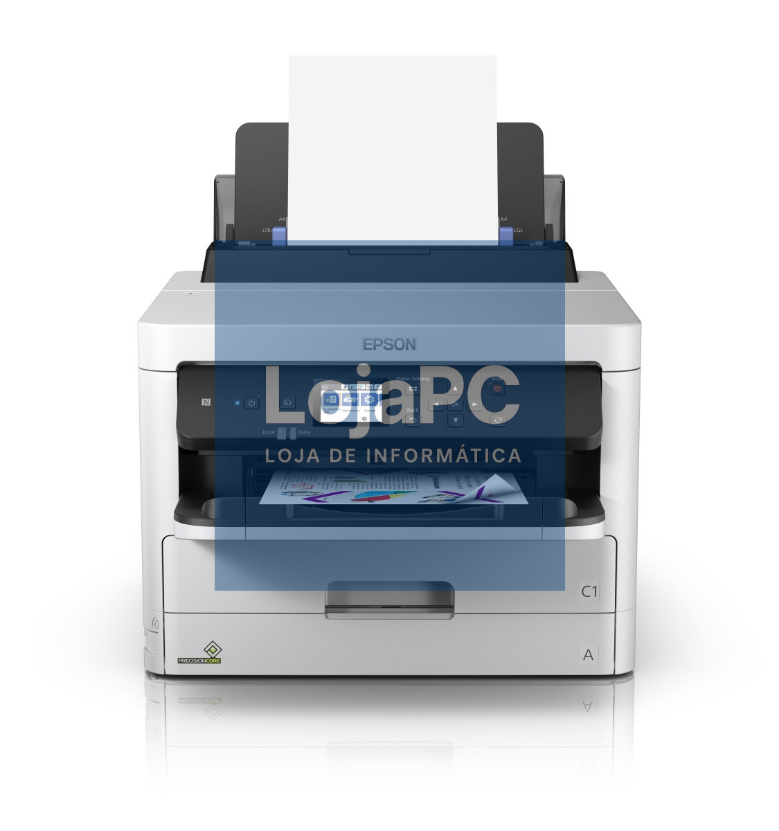 Epson WorkForce Pro WF-C529R / C579R Black XL Ink Supply Unit > RIPS