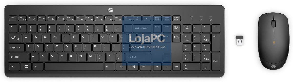 HP Teclado + Rato Wireless 230