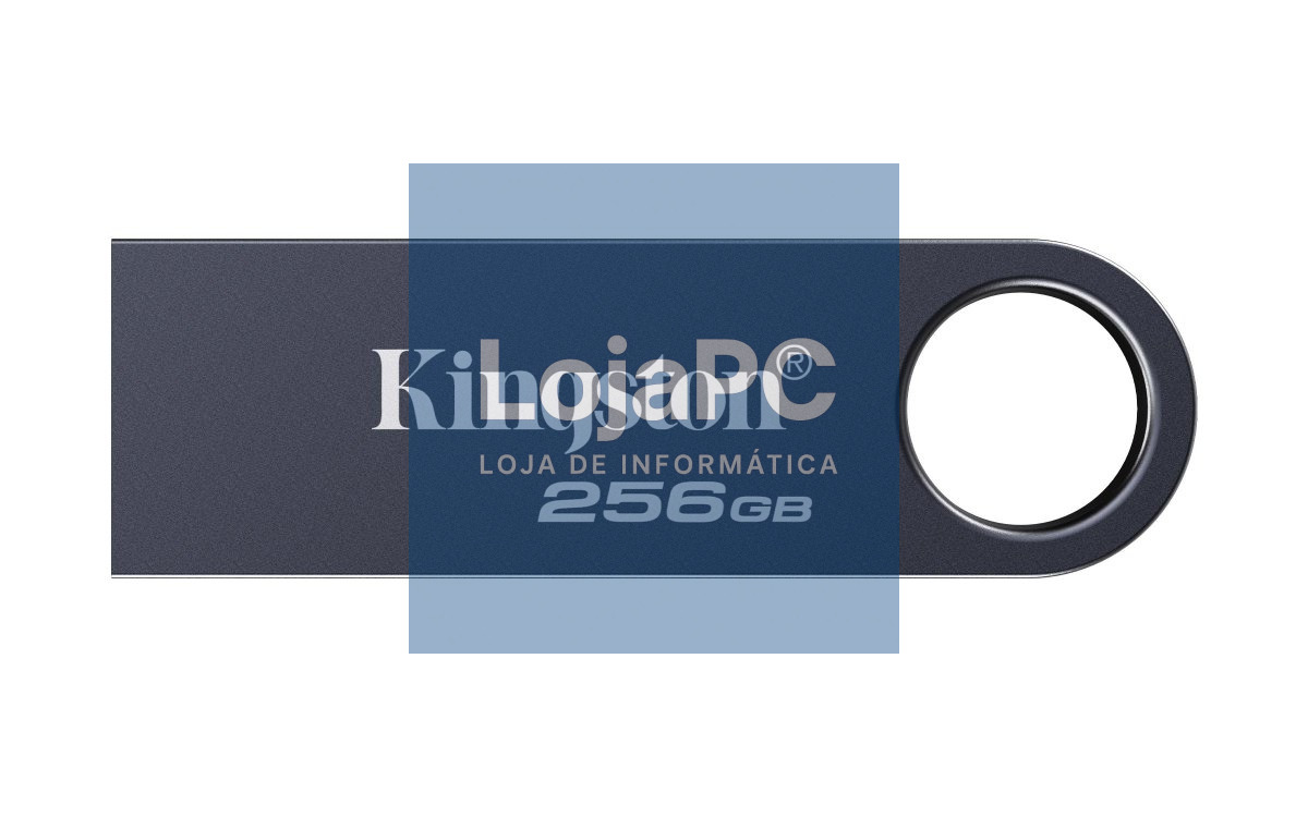 Kingston 256GB DataTraveler SE9 G3 - Dark Nickel