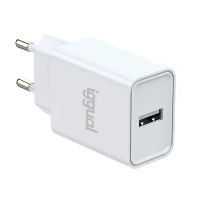 iggual Carregador de parede 1xUSB-A 5V/2.4A (12W)