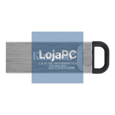 Kingston DataTraveler DTKN 256GB USB 3.2 Gen1 Plat