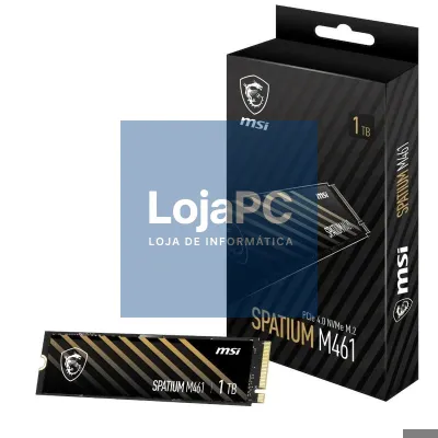 MSI SSD Spatium M461 1Tb PCIe 4.0 NVMe 5000 Mb-s