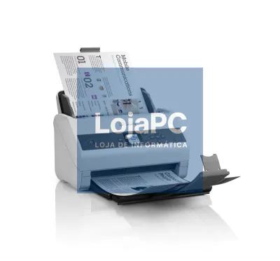 Epson WorkForce DS-870