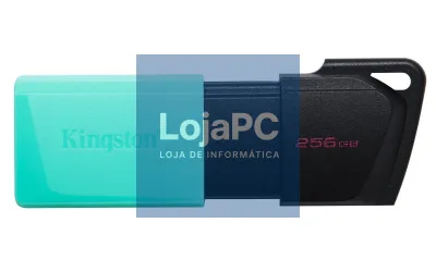 Kingston 256GB USB3.2 Gen1 DataTraveler Exodia M (Black + Teal)